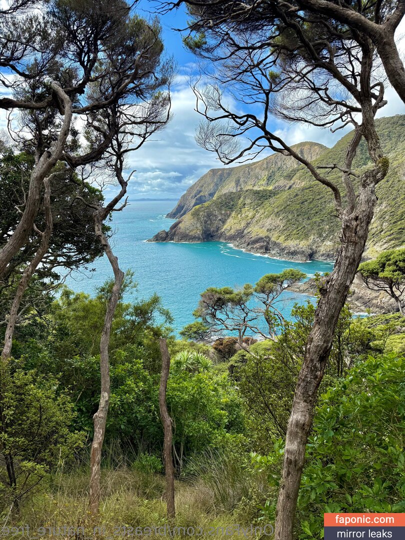 breasts_in_nature_free