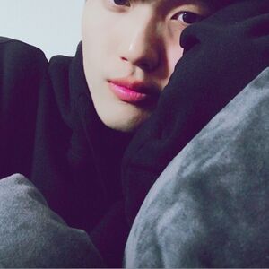 yang_sub